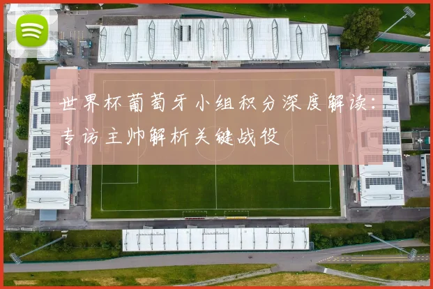 世界杯葡萄牙小组积分深度解读：专访主帅解析关键战役