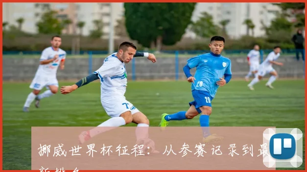 挪威世界杯征程:从参赛记录到最新排名