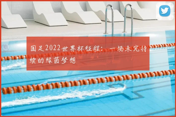 国足2022世界杯征程：一场未完待续的绿茵梦想