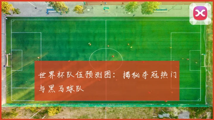 世界杯队伍预测图：揭秘夺冠热门与黑马球队